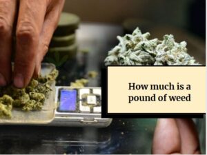 How much is a pound of weed