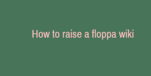 How to raise a floppa wiki