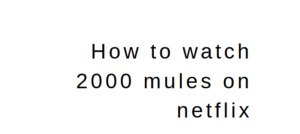 How to watch 2000 mules on netflix