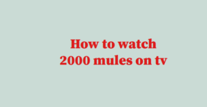 How to watch 2000 mules on tv